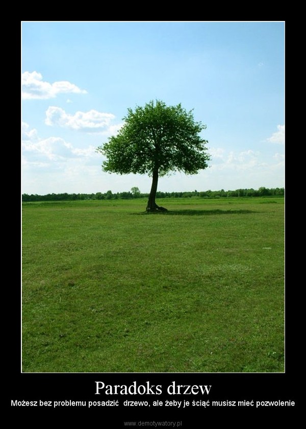 Paradoks drzew – Możesz bez problemu posadzić  drzewo, ale żeby je ściąć musisz mieć pozwolenie 