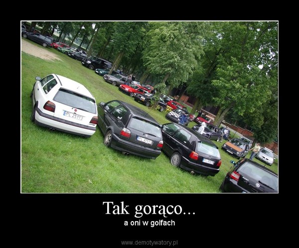 Tak gorąco... – a oni w golfach 