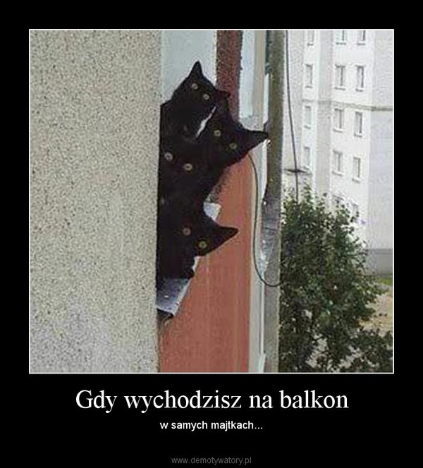Gdy wychodzisz na balkon – w samych majtkach... 