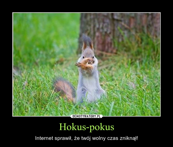 Hokus-pokus – Internet sprawił, że twój wolny czas zniknął! 