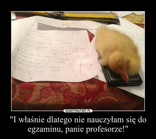 "I właśnie dlatego nie nauczyłam się do egzaminu, panie profesorze!" –  