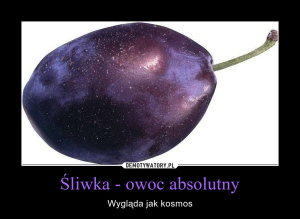 Śliwka - owoc absolutny – Wygląda jak kosmos 