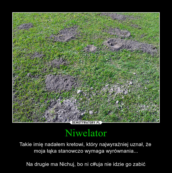 Niwelator – Takie imię nadałem kretowi, który najwyraźniej uznał, że moja łąka stanowczo wymaga wyrównania...Na drugie ma Nichuj, bo ni c#uja nie idzie go zabić 