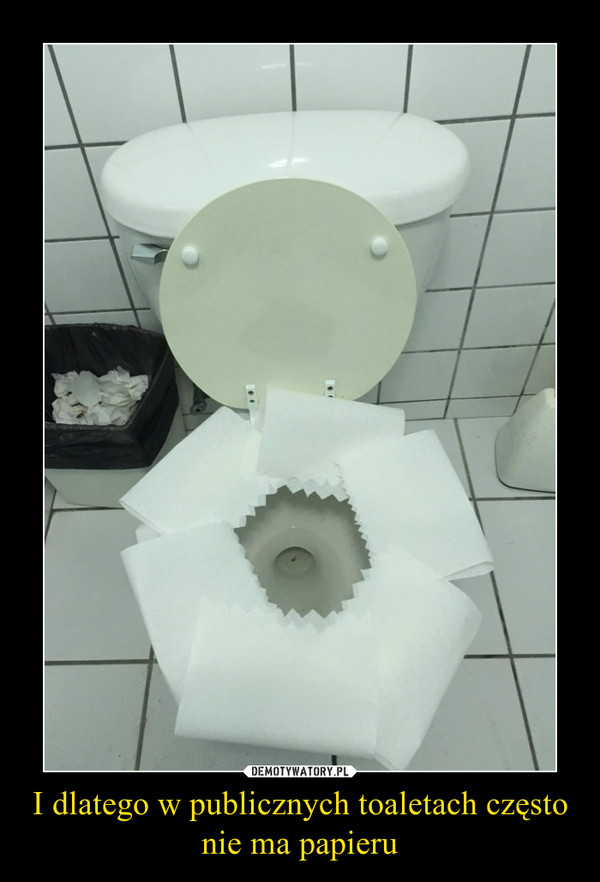 I dlatego w publicznych toaletach często nie ma papieru –  
