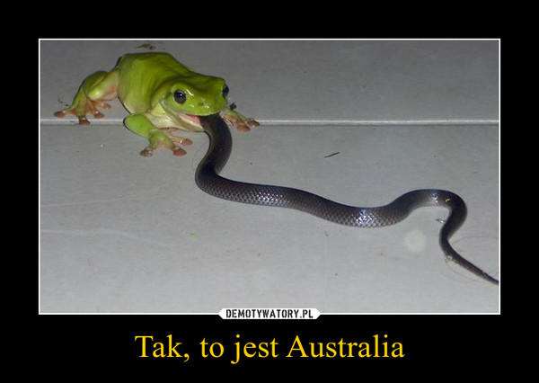 Tak, to jest Australia –  