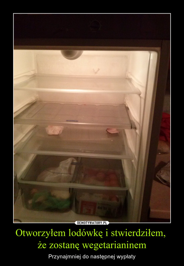 Otworzyłem lodówkę i stwierdziłem, że zostanę wegetarianinem – Przynajmniej do następnej wypłaty 