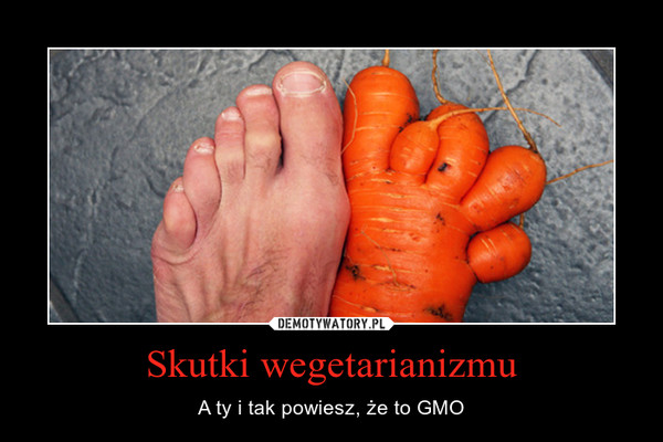 Skutki wegetarianizmu – A ty i tak powiesz, że to GMO 