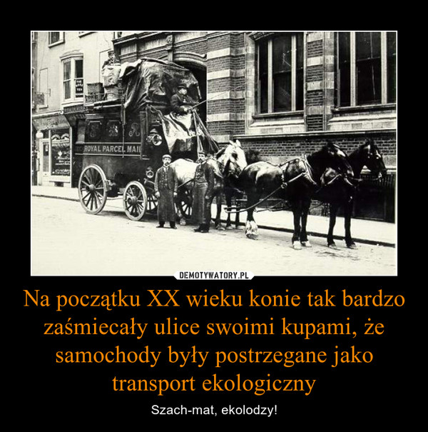 Na początku XX wieku konie tak bardzo zaśmiecały ulice swoimi kupami, że samochody były postrzegane jako transport ekologiczny – Szach-mat, ekolodzy! 
