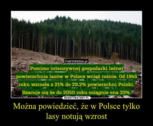 Można powiedzieć, że w Polsce tylko lasy notują wzrost –  
