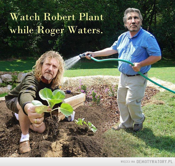 Watch Robert Plant while Roger Waters –  