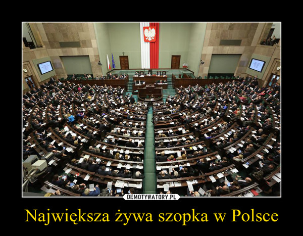 Największa żywa szopka w Polsce –  