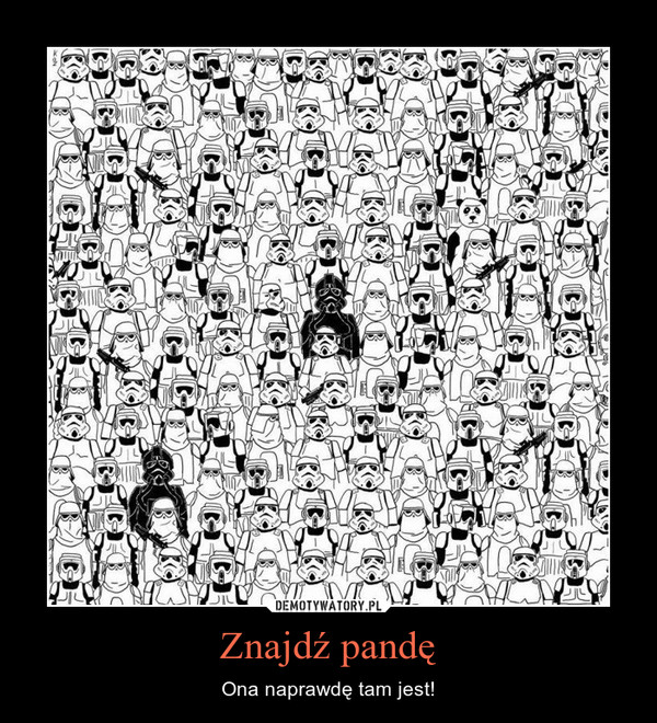 Znajdź pandę