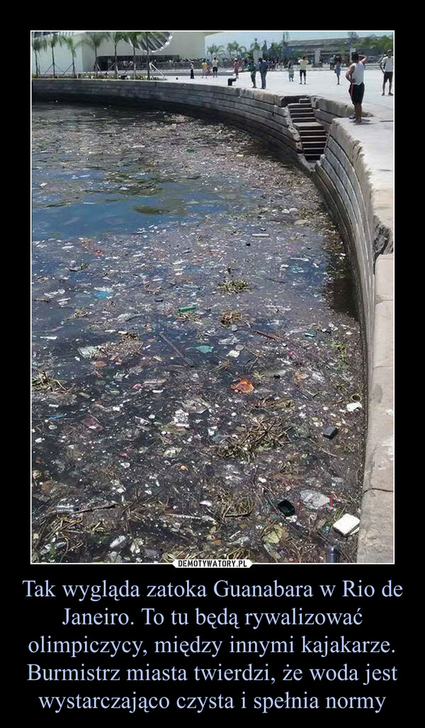 Tak wygląda zatoka Guanabara w Rio de Janeiro. To tu będą rywalizować olimpiczycy, między innymi kajakarze. Burmistrz miasta twierdzi, że woda jest wystarczająco czysta i spełnia normy –  