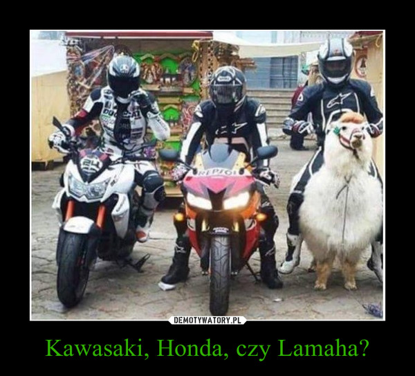 Kawasaki, Honda, czy Lamaha?