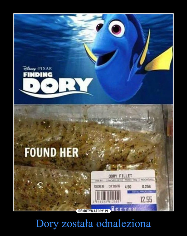 Dory została odnaleziona
