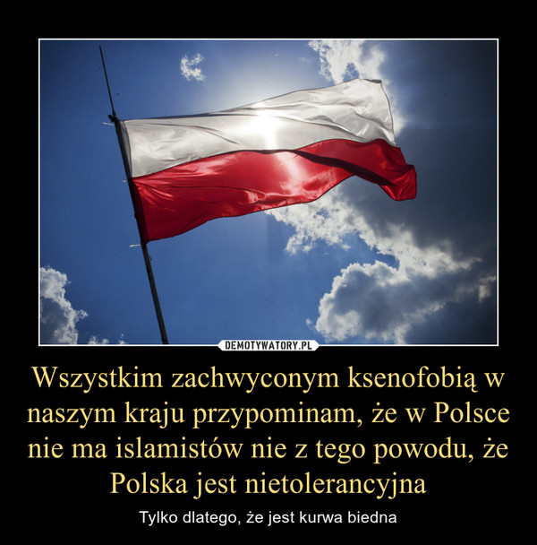 Wszystkim zachwyconym ksenofobią w naszym kraju przypominam, że w Polsce nie ma islamistów nie z tego powodu, że Polska jest nietolerancyjna – Tylko dlatego, że jest kurwa biedna 
