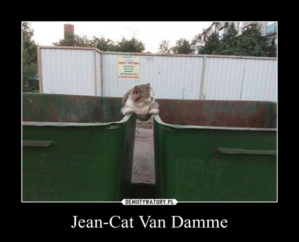Jean-Cat Van Damme –  