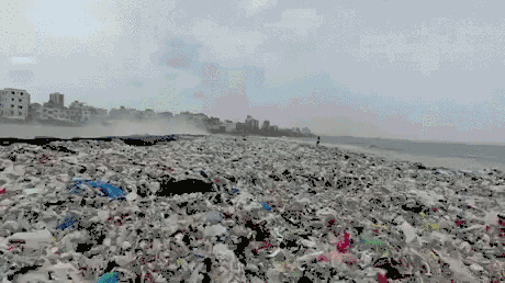 Zawalona śmieciami plaża w Indiach –  