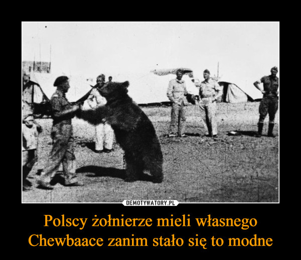 Polscy żołnierze mieli własnego Chewbaace zanim stało się to modne –  