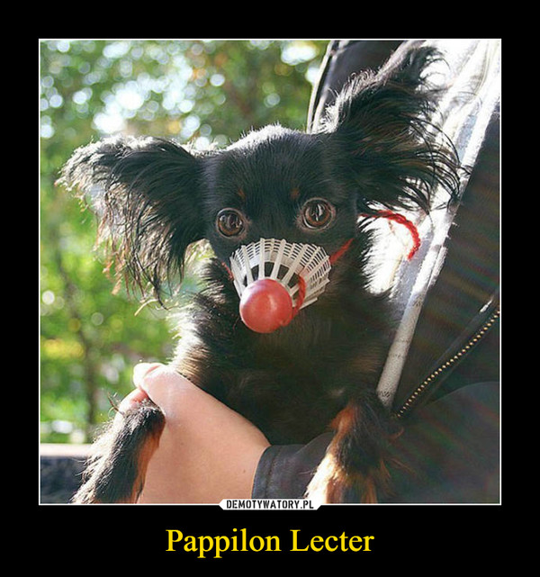 Pappilon Lecter –  