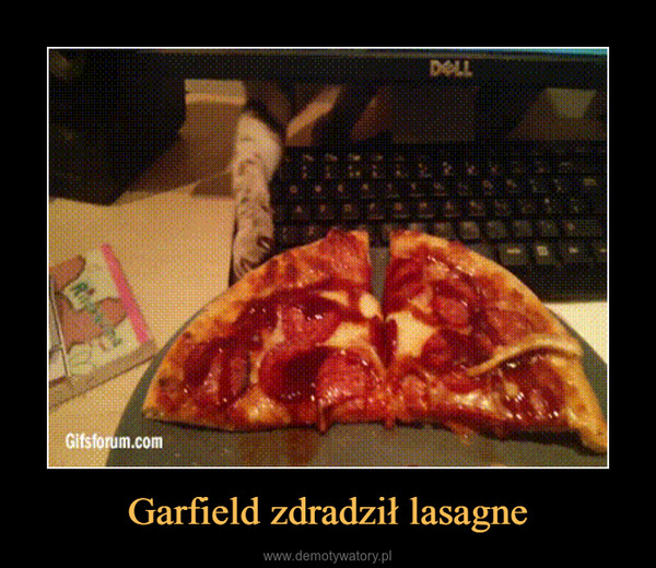 Garfield zdradził lasagne –  