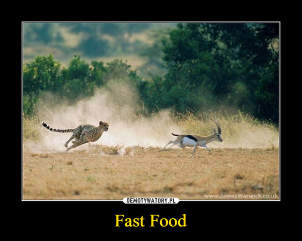 Fast Food –  