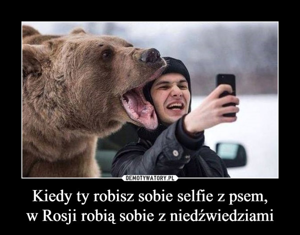 Kiedy ty robisz sobie selfie z psem,
w Rosji robią sobie z niedźwiedziami