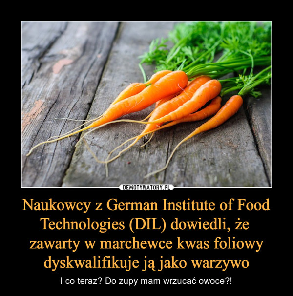 Naukowcy z German Institute of Food Technologies (DIL) dowiedli, że zawarty w marchewce kwas foliowy dyskwalifikuje ją jako warzywo – I co teraz? Do zupy mam wrzucać owoce?! 