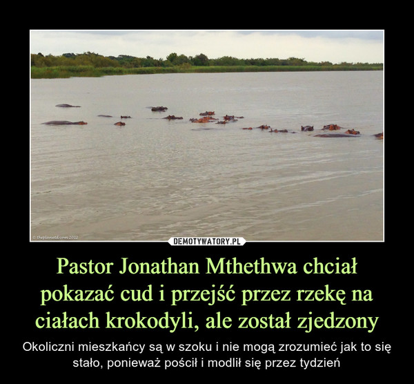 Pastor Jonathan Mthethwa chciał pokazać cud i przejść przez rzekę na ciałach krokodyli, ale został zjedzony