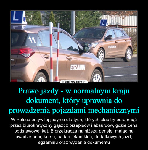 Prawo jazdy - w normalnym kraju dokument, który uprawnia do prowadzenia pojazdami mechanicznymi