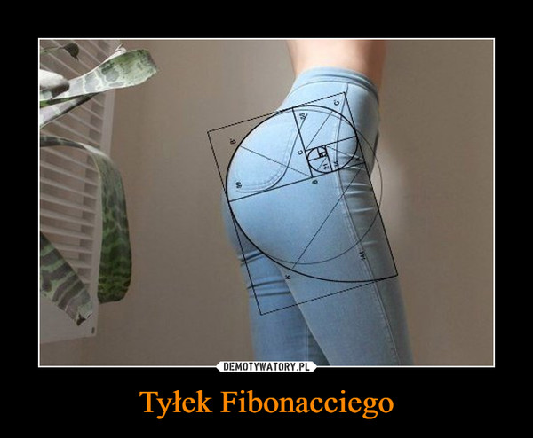 Tyłek Fibonacciego