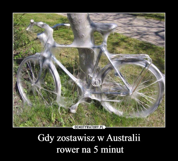 Gdy zostawisz w Australii rower na 5 minut –  