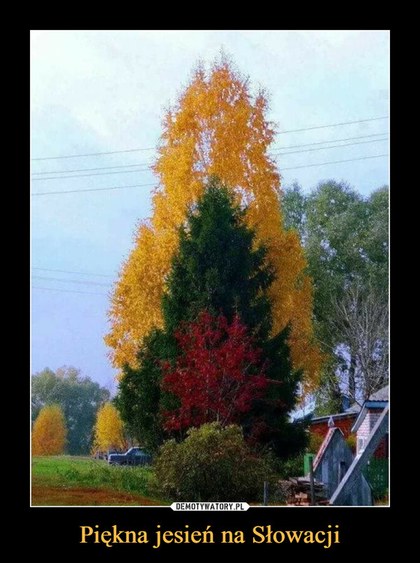 Piękna jesień na Słowacji –  