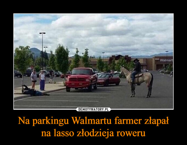 Na parkingu Walmartu farmer złapałna lasso złodzieja roweru –  