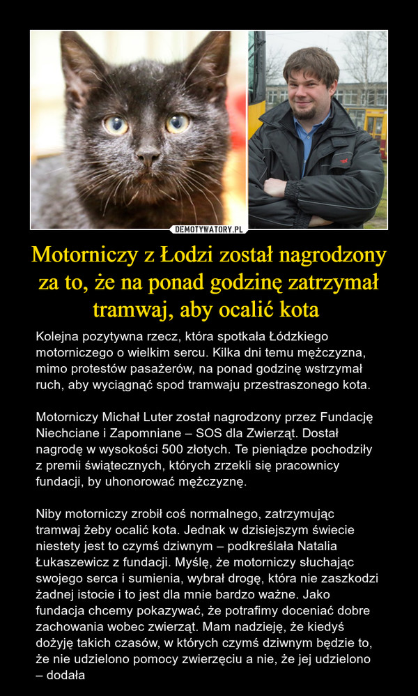 Motorniczy z Łodzi został nagrodzony
za to, że na ponad godzinę zatrzymał tramwaj, aby ocalić kota 