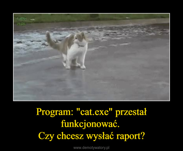Program: "cat.exe" przestał funkcjonować. Czy chcesz wysłać raport? –  
