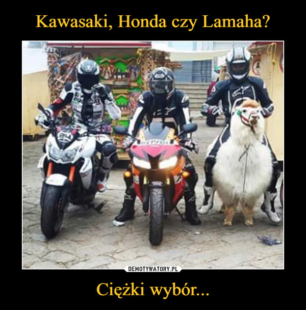 Kawasaki, Honda czy Lamaha? Ciężki wybór...