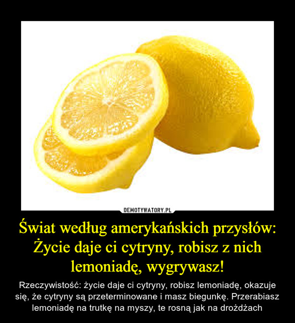 Świat według amerykańskich przysłów: Życie daje ci cytryny, robisz z nich lemoniadę, wygrywasz!
