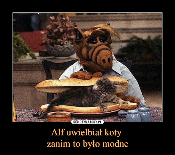 Alf uwielbiał koty zanim to było modne –  