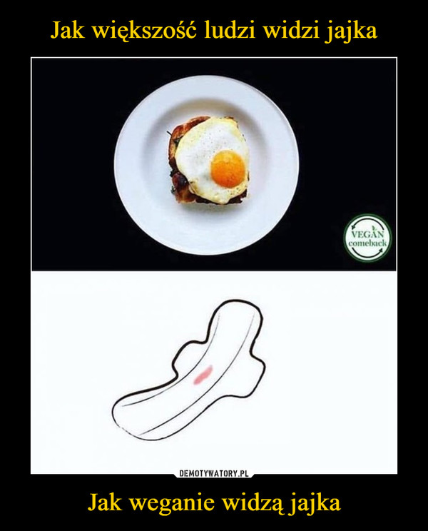 Jak weganie widzą jajka –  
