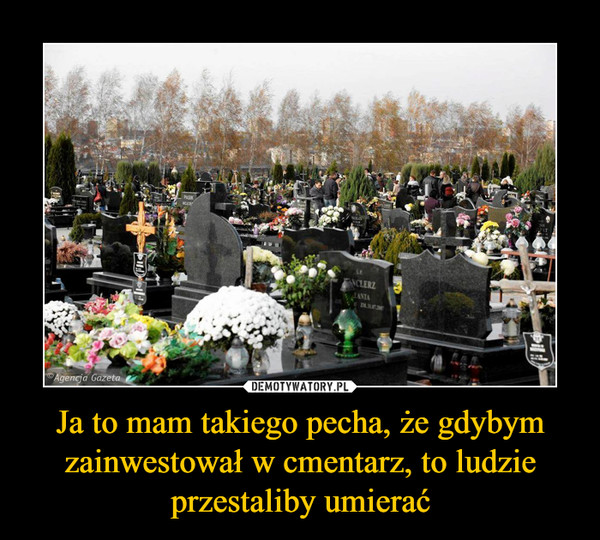 Ja to mam takiego pecha, że gdybym zainwestował w cmentarz, to ludzie przestaliby umierać –  