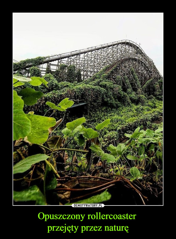 Opuszczony rollercoaster przejęty przez naturę –  