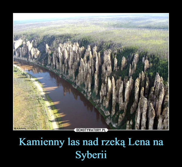 Kamienny las nad rzeką Lena na Syberii –  