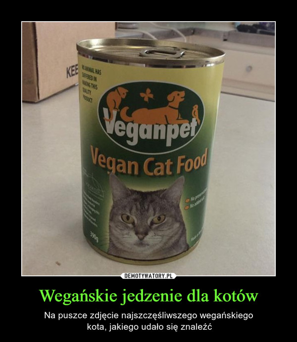 Wegańskie jedzenie dla kotów – Na puszce zdjęcie najszczęśliwszego wegańskiego kota, jakiego udało się znaleźć 