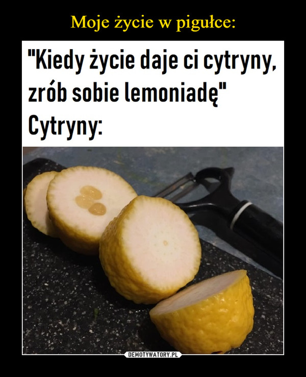  –  "Kiedy życie daje ci cytryny,zrób sobie lemoniadę"Cytryny: