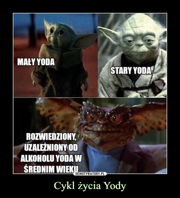 Cykl życia Yody