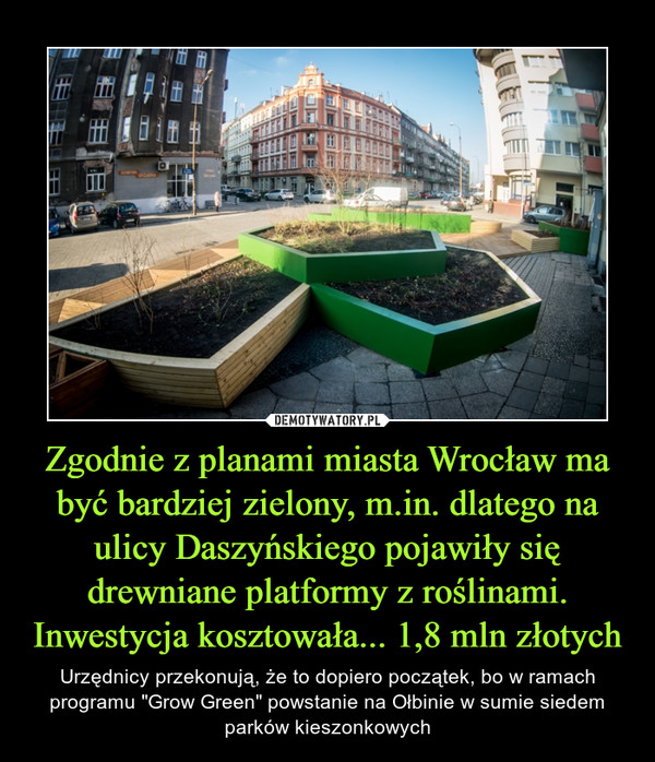 Zgodnie z planami miasta Wrocław ma być bardziej zielony, m.in. dlatego na ulicy Daszyńskiego pojawiły się drewniane platformy z roślinami. Inwestycja kosztowała... 1,8 mln złotych