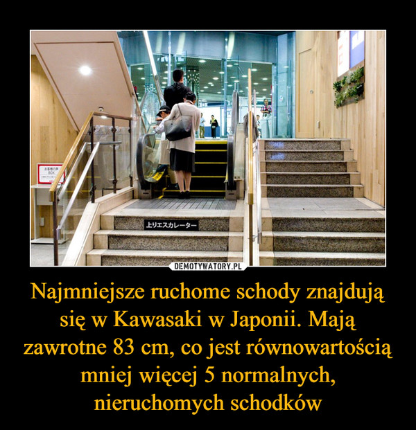 Najmniejsze ruchome schody znajdują się w Kawasaki w Japonii. Mają zawrotne 83 cm, co jest równowartością mniej więcej 5 normalnych, nieruchomych schodków