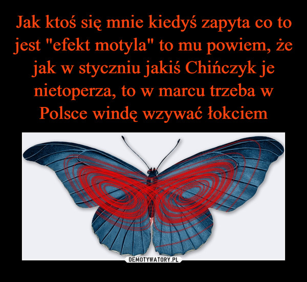 Jak ktoś się mnie kiedyś zapyta co to jest "efekt motyla" to mu powiem, że jak w styczniu jakiś Chińczyk je nietoperza, to w marcu trzeba w Polsce windę wzywać łokciem