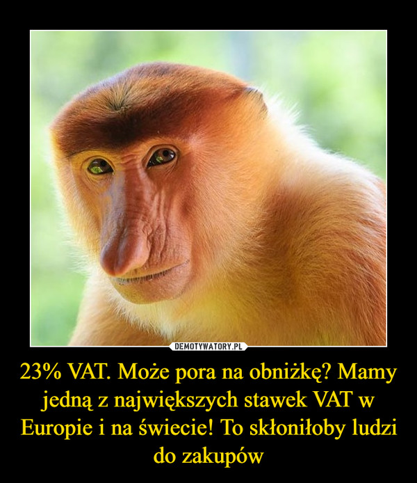 23% VAT. Może pora na obniżkę? Mamy jedną z największych stawek VAT w Europie i na świecie! To skłoniłoby ludzi do zakupów –  